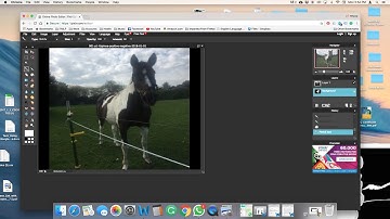 How to Create a Digital Image with High Contrast Using Pixlr