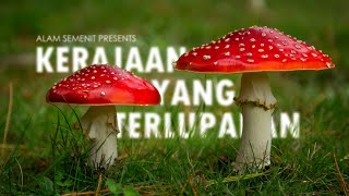 Multi Fungsi Fungi #AlamSemenit