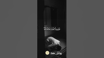 سوره الفجر - القارئ ماهر المعيقلي #islam #قران_كريم #islamic
