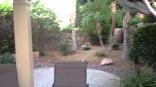 PD home video 2