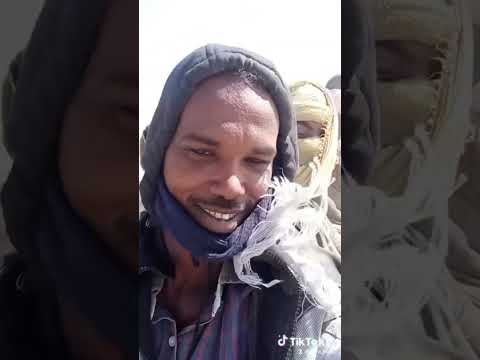 عرباتك عصر مارقات عديلة جنقلة