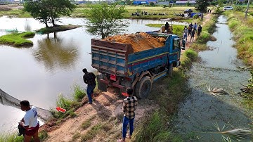Processing Start Landfill Task! By Dump Truck 5Ton & Dozer Pushing Soil into Water, Mix VDO