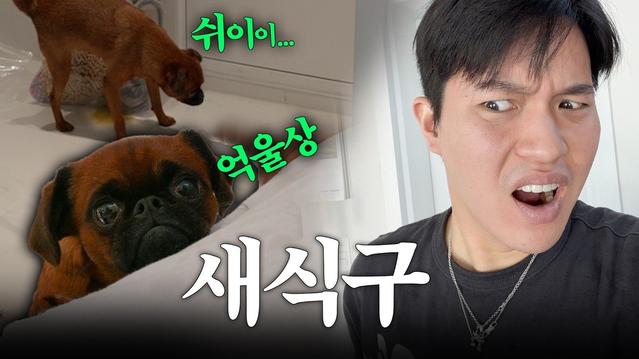 새로운 가족이 생겼는데 좀 당황스럽네요