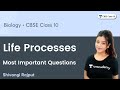 Most Important Questions Life Processes CBSE Class 10 Shivangi Rajput mp3