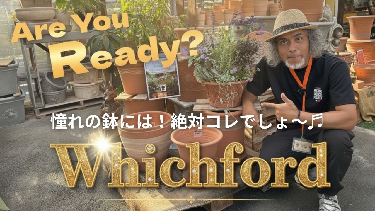 Autumn has come! Witchford, a gardener's dream, is the star of the