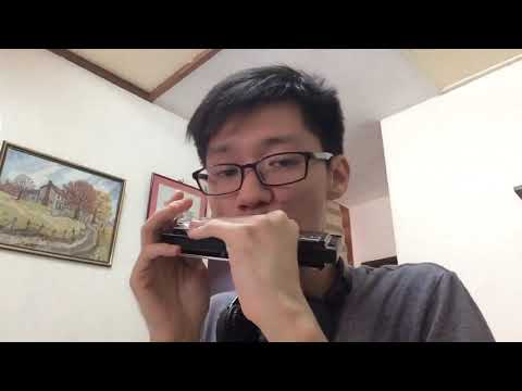 林俊杰《输了你赢了世界又如何》口琴版 harmonica cover