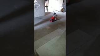 Olha Que Golgado Esse Cachorro