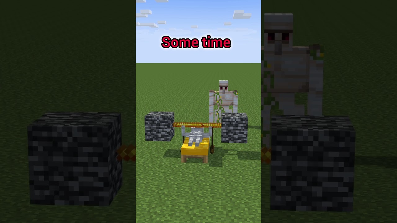 some time skeletons are good job#minecraft #minecraftanimation #minecraft move