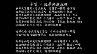 【試聽】辛雯 - 把憂傷熬成糖