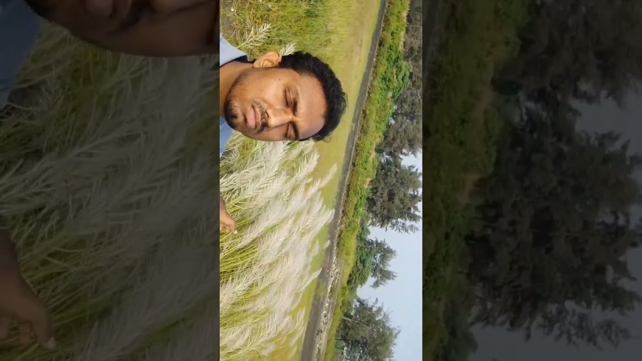 Video Created by Kamlesh Gupta Actual music and song by Sanam. #shorts #trending #sanam