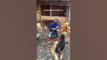 Donation Link In Bio 🔗 Every Little Bit Saves a Dog’s Life ❤️ #reacuedogs #shorts #dog #love #puppy