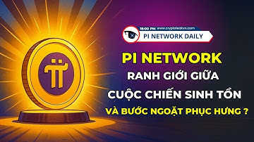 Ranh Giới Giữa Cuộc Chiến Sinh Tồn Và Bước Ngoặt Phục Hưng Của Pi Network