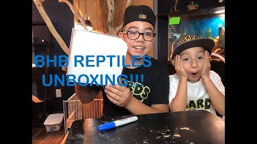 BHB REPTILES UNBOXING!!! WHAT DID I GET???