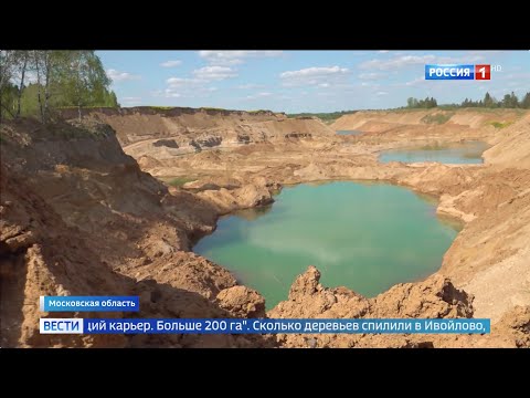 Жители подмосковья борются с вырубкой леса
