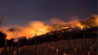 Forest fires california napa valley region, before and after wildfires
in wine region vineyards on fire ravaged by fast-spreading wild...