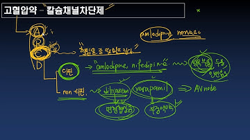 고혈압약 - 칼슘채널차단제