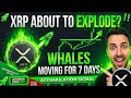 $539 Million Burned, 7 Days of Withdrawals &amp; XRP Still at $1.09 — What's Really Going On?