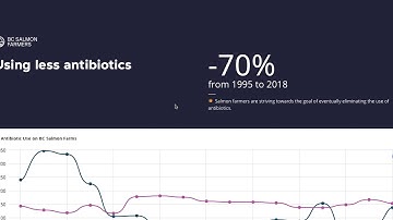 BC Salmon Farmers | Performance Dashboard Explainer Video