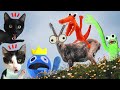 Rainbow Friends pero escondidos entre animales en la vida real / Videos de gatitos Luna y Estrella