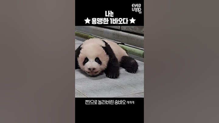 이 소리는 판다월드의 용맹한 아기판다가...
