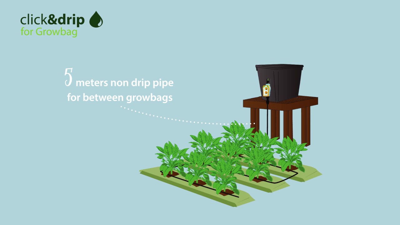 Click & Drip Watering Kit For Growbags   Plant Watering Essentials