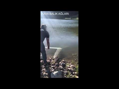 MİSİNA SERPME AĞ İLE BALIK AVI | Fishing Super Technique