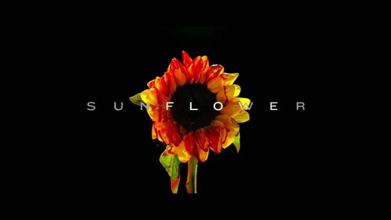 Sunflower - Let's Talk It Out