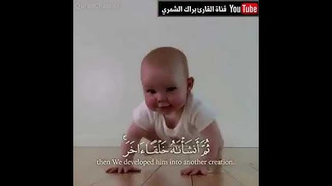 تلاوة هادئة للشيخ براك الشمري حالات واتس اب