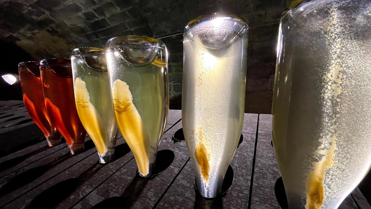 Sektbereitung: Abrütteln der Hefe bei klassischer Flaschengärung an der LVWO Weinsberg