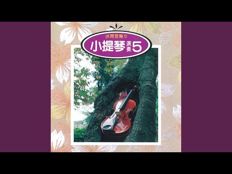 淚的小雨