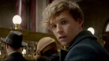 映画『ファンタスティック・ビーストと魔法使いの旅』日本版予告【HD】2016年11月23日公開