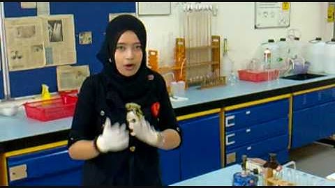 IB group 4 project - smart green roof :)