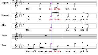 Carezze Tenori Acr Chorus