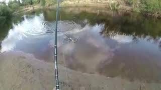 Рыбалка на севере Сахалина by А К 1,232 views 6 years ago 2 minutes, 17 seconds