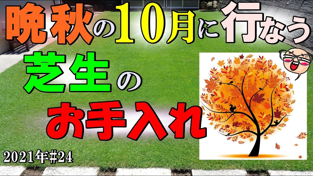 晩秋の１０月に行なう 何気ない芝生のお手入れ 芝生 21年 24 Youtube