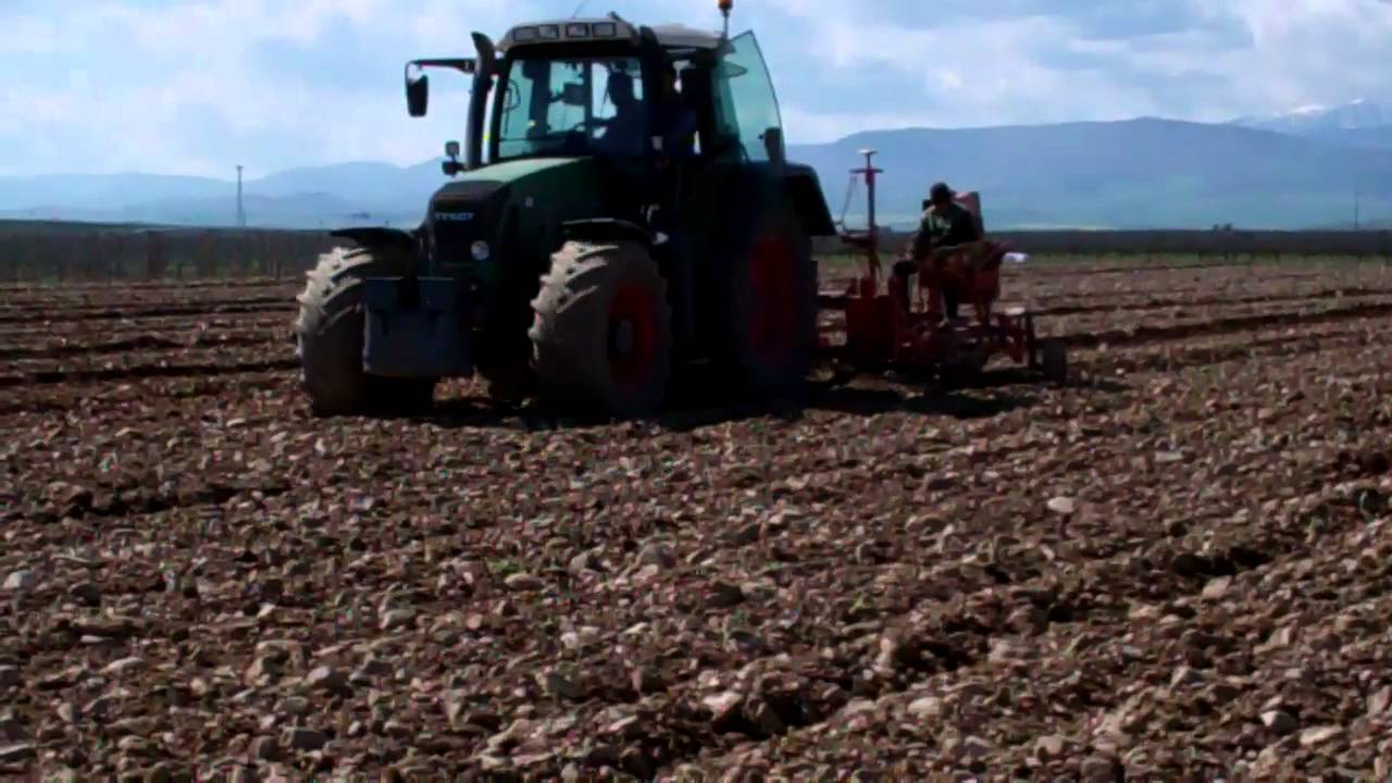 explorer 1 Finca La Emperatriz, the Plantation of Vines May 2012- FLE Version