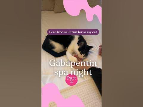 gabapentin night