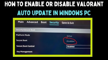 How to Enable or Disable Valorant Auto Update in Windows 11