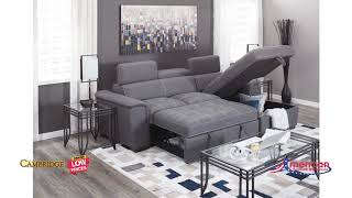 Levi 2 Piece Sectional with Pull Out Bed