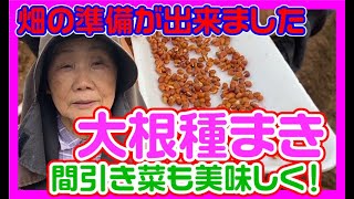 大根種まき【播種】大根用畝【防虫ネット】