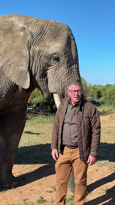 Elephants deserve our very best conservation efforts! 🐘🪐  #ivancarter