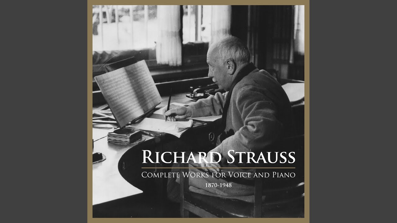 5 Lieder, Op. 48, TrV 202: No. 5. Winterliebe