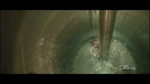 BASF Care Creations - Extracción