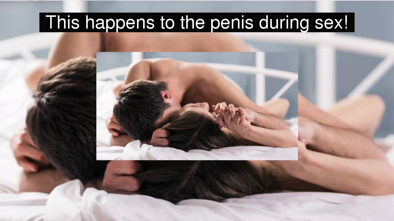 What Happens To The Penis During Sex 114