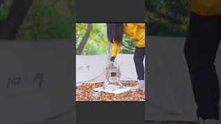Exploring the Autumn Forest Alone, A Girl’s Peaceful Survival Night #wildlife #survival #camping #yt