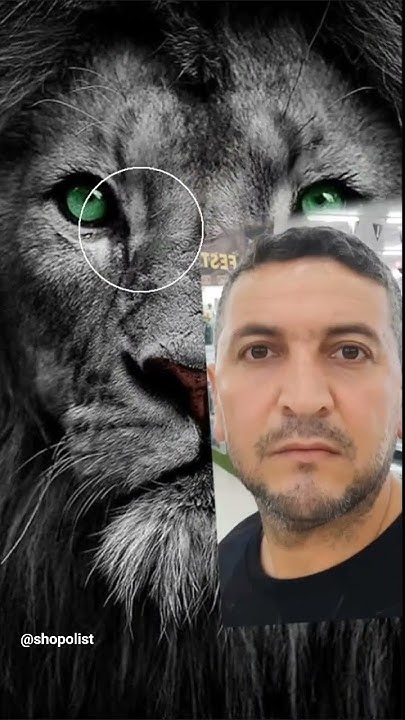 Yarı insan yarı aslan 🦁 - YouTube