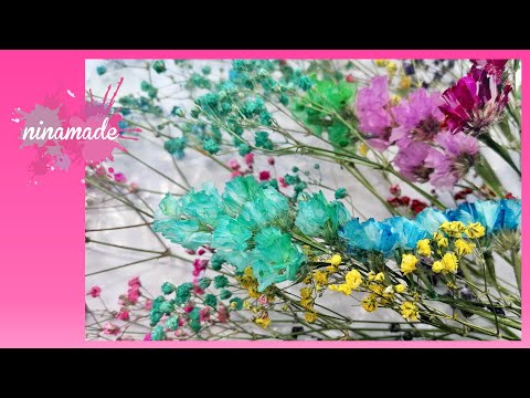 Vidéo: 5 façons de colorer les fleurs