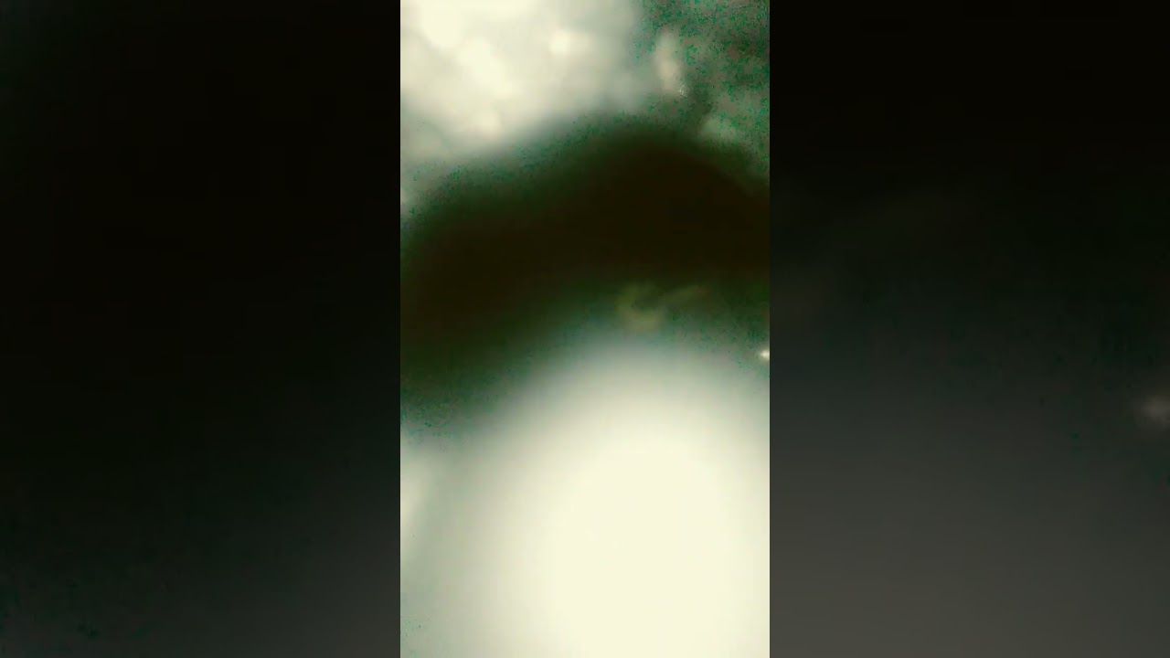 2 февраля 2026 г.