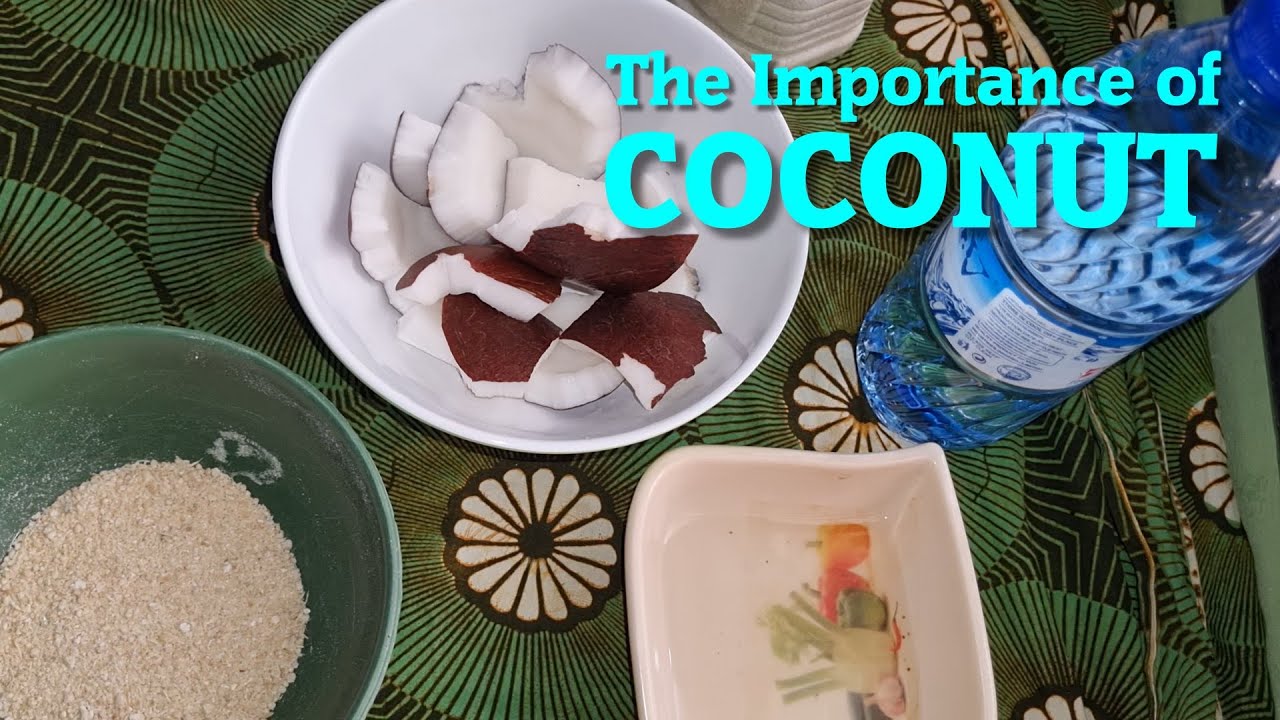 Coconut and its Importance in Nigeria YouTube