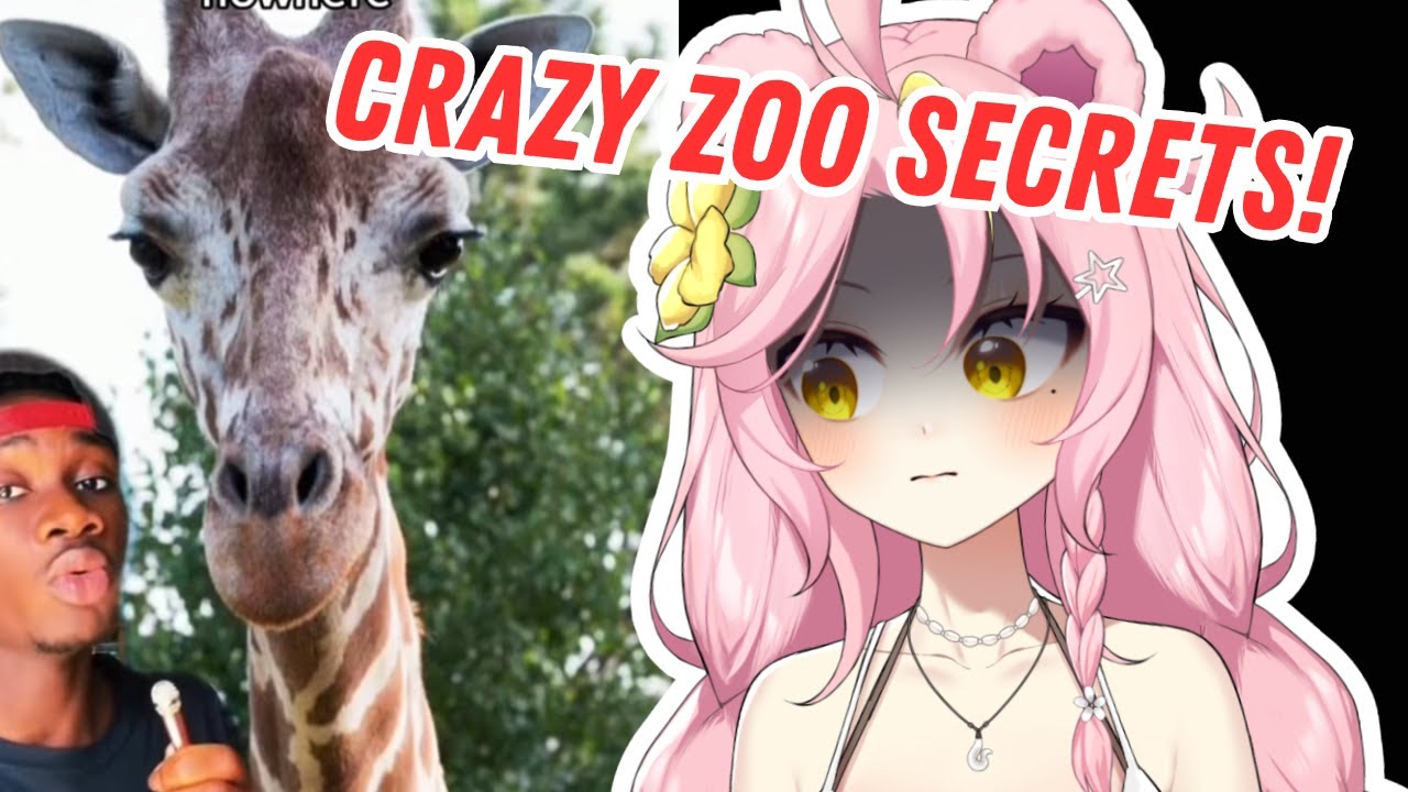 Смотрители зоопарка не хотят, чтобы вы ЭТО знали 😳 — Casual Geograpic Reaction | Maddiekuma Reacts